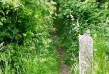 Down The Rabbit Hole