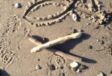 Fish In The Sea